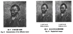 Image regularization diffusion behavior and unified processing framework